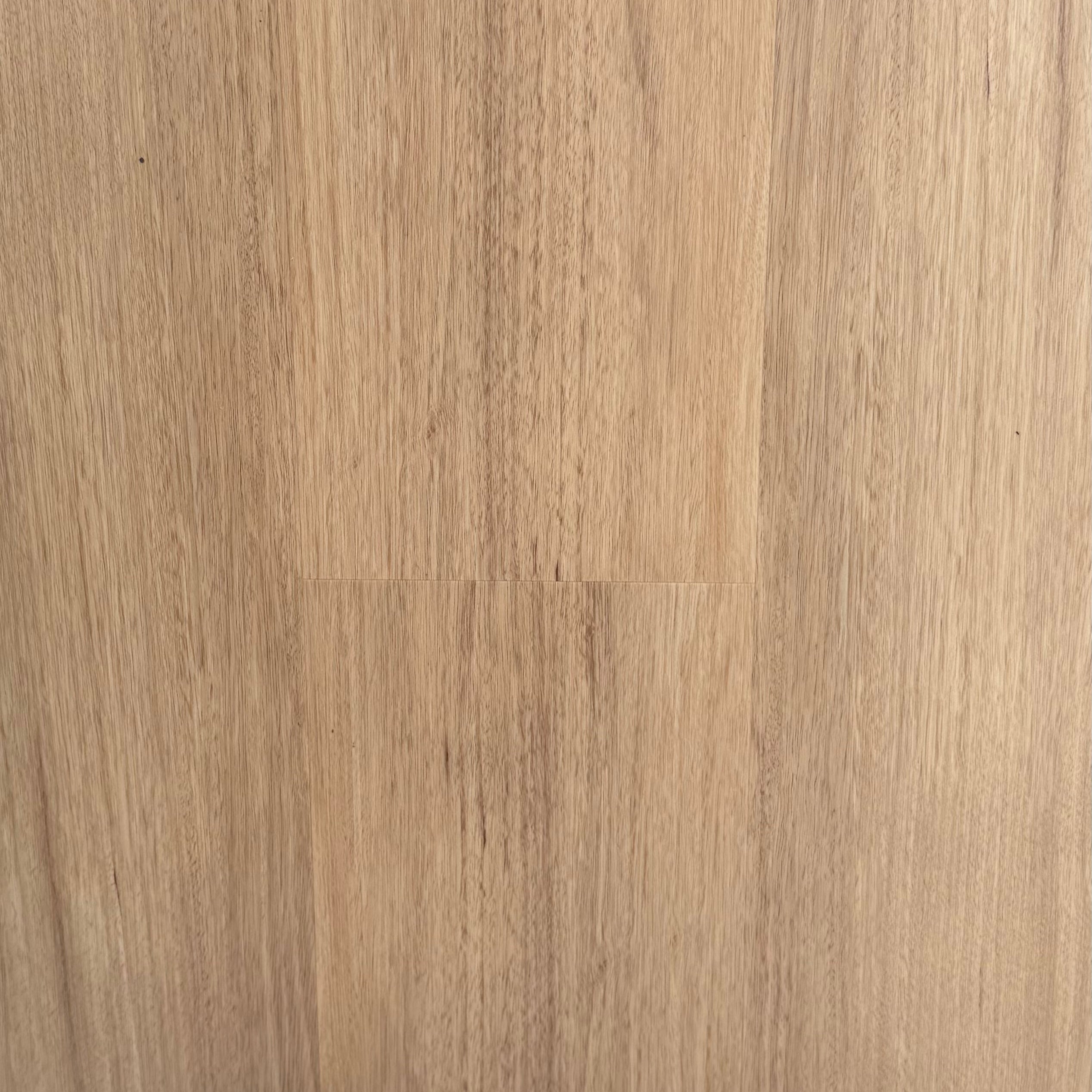 Hybrid 9526 - Coastal Blackbutt